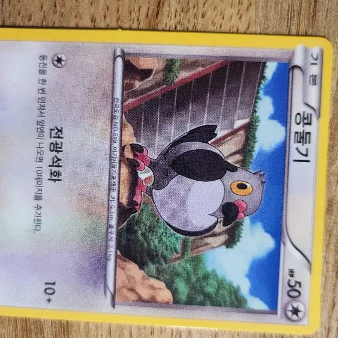 [BUNJANG] Pokemon Card Rolycoly 041/053 C / 포켓몬 카드 콩둘기 041/053 C