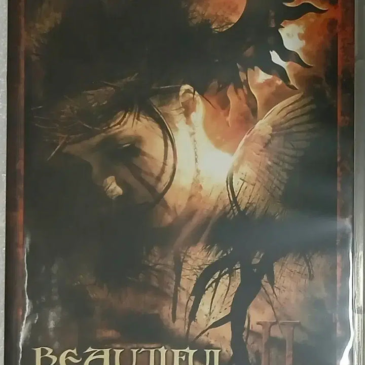[BUNJANG] Beautiful Voices DVD / Beautiful Voices " DVD