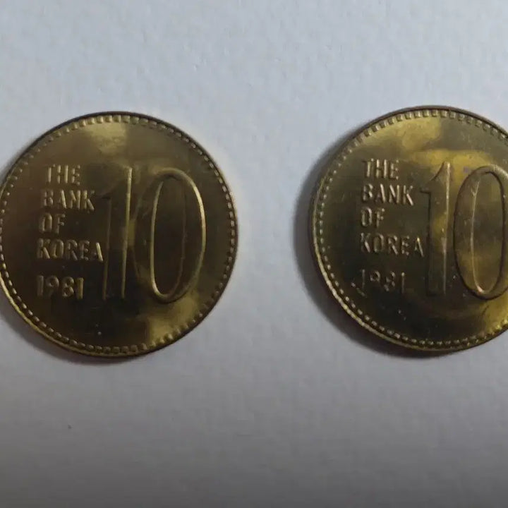 [BUNJANG] 1981 10 Won Coins (2 Pieces) / 1981년 10주 2개
