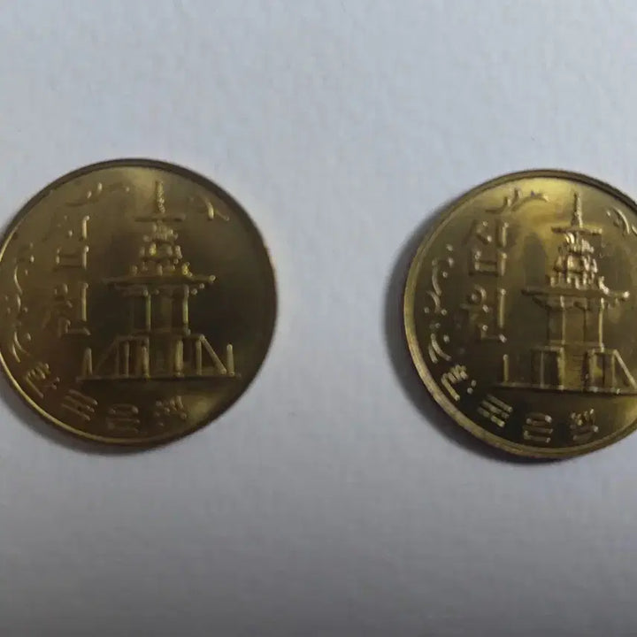[BUNJANG] 1981 10 Won Coins (2 Pieces) / 1981년 10주 2개