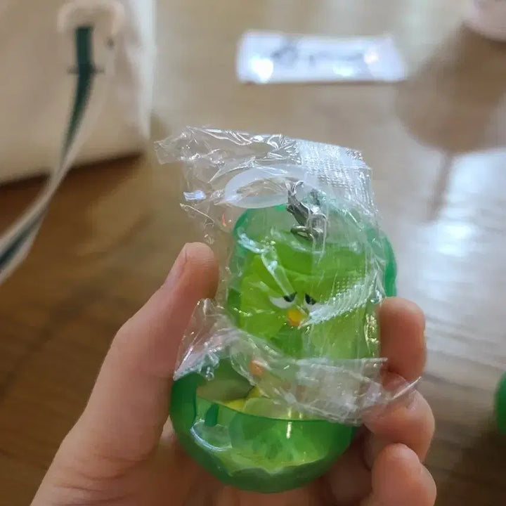 [BUNJANG] Duolingo 2-Piece Figure Set / 듀오링고 메지루시 2종