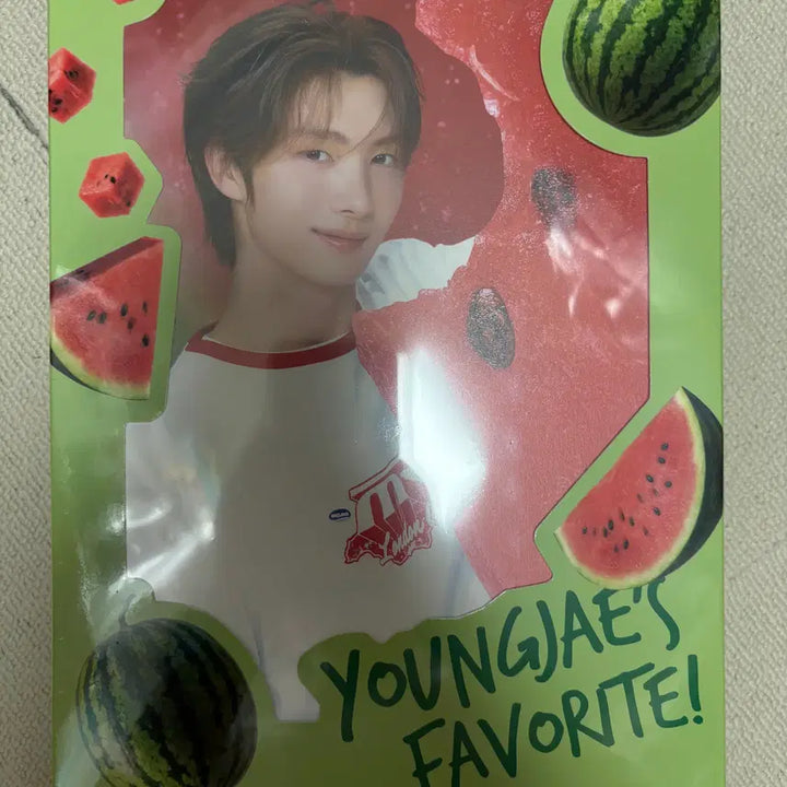 [BUNJANG] TWS Youngjae Birthday Box Kit / 투어스 영재 생일박스
