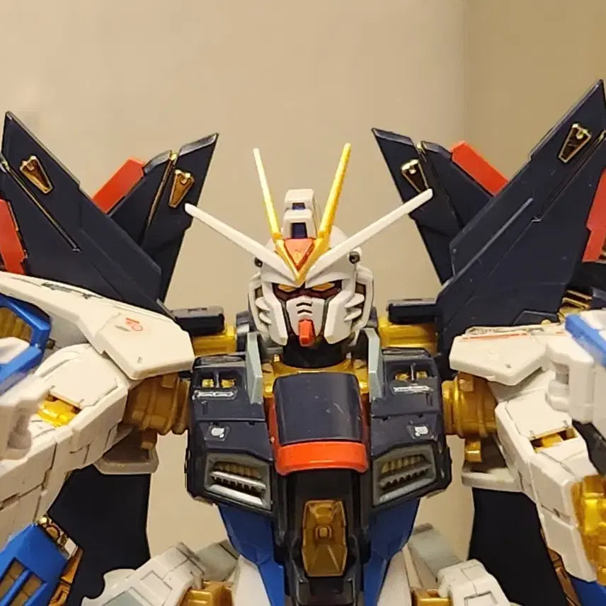 [BUNJANG] RG Strike Freedom Gundam (Pre-Assembled) with Stand / [RG][가조립] 스트라이크 프리덤 + 스탠드