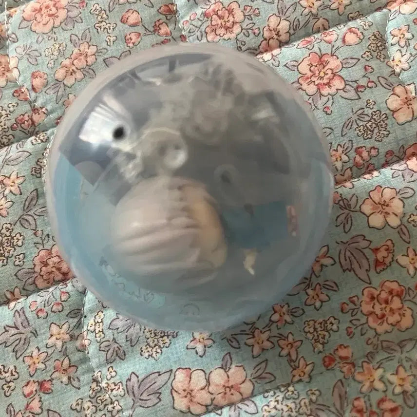 [BUNJANG] Gegege no Kitaro Gacha Figure / 게게게의키타로 가챠