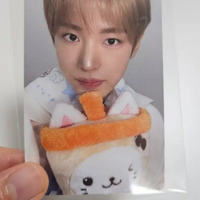 [BUNJANG] NCT WISH YUUSHI Bakery POB Photocard / 엔시티위시 유우시 베이커리 5만원 특전포카 양도