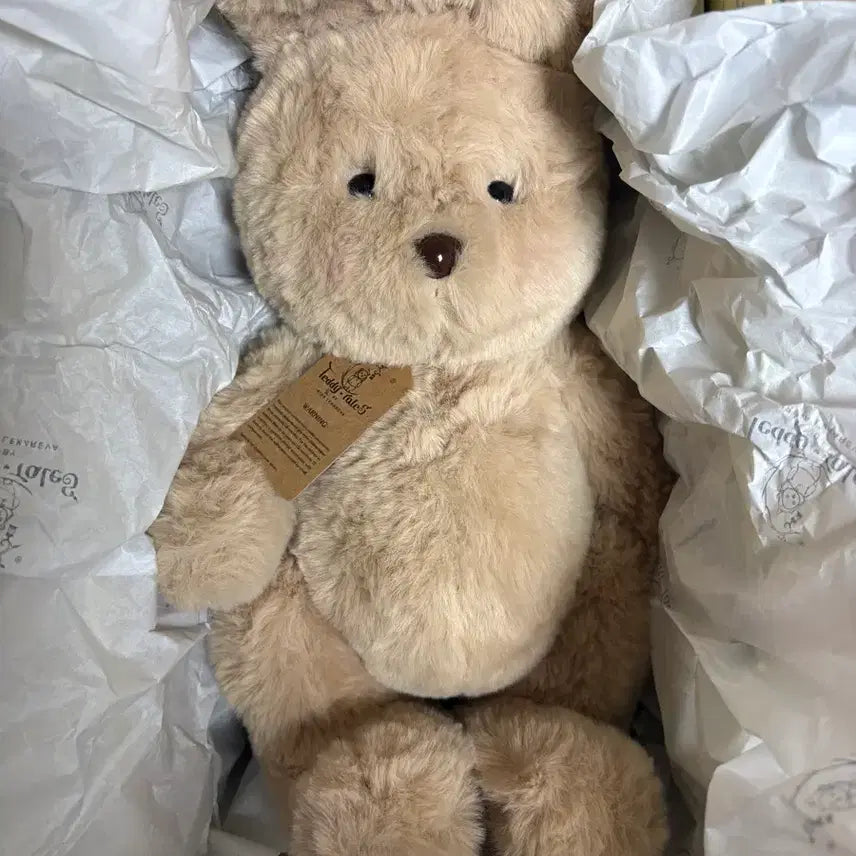 [BUNJANG] Teddy Tales Rena Bunny Toffeenut Latte Medium Size Plush / 테디테일즈 레나버니 토피넛라떼 미디엄사이즈