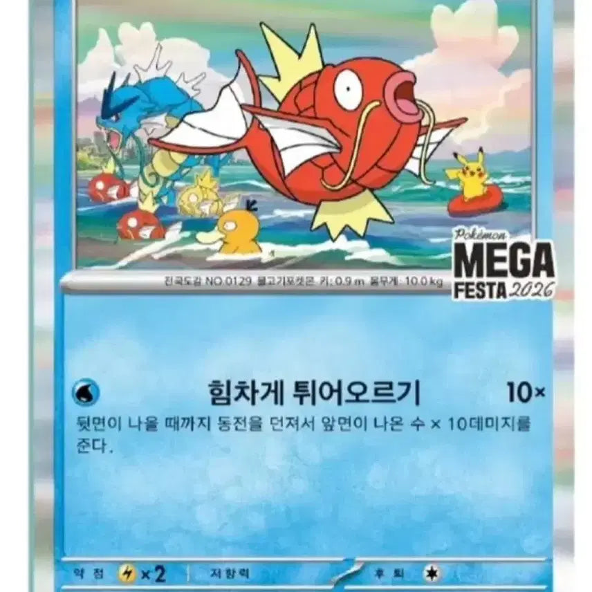 [BUNJANG] Pokemon Magikarp Bundle Set (2 Cards) / 포켓몬 잉어킹 일괄 양도(2장) 14만원