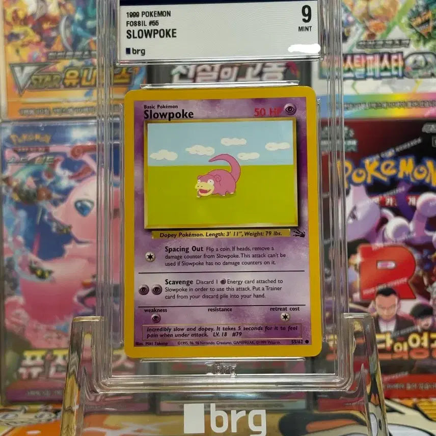 [BUNJANG] Pokemon TCG English Slowpoke Fossil 3rd Edition 9-Grade / 포켓몬카드 brg9 미판 야돈 구뒷면