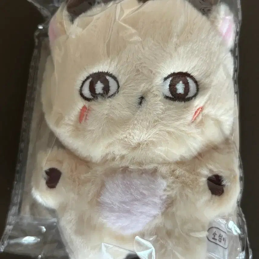 [BUNJANG] Park Ji Hoon Sealed &