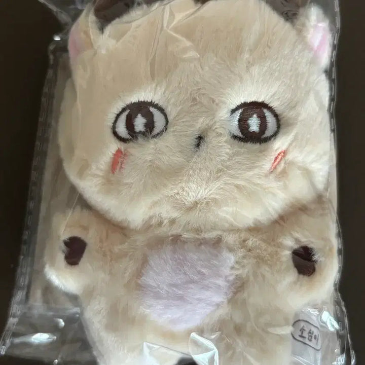 [BUNJANG] Park Ji Hoon Sealed &