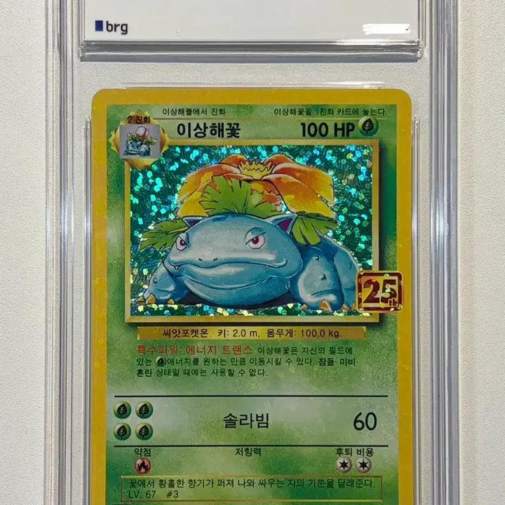 [BUNJANG] Pokemon 25th Anniversary Venusaur, Charizard, Blastoise BRG 9 Bundle Set / 포켓몬 카드 25주년 이상해꽃, 리자몽, 거북왕 brg 9