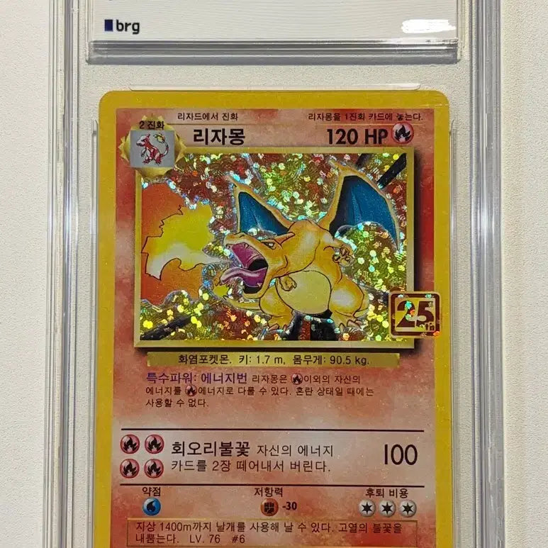[BUNJANG] Pokemon 25th Anniversary Venusaur, Charizard, Blastoise BRG 9 Bundle Set / 포켓몬 카드 25주년 이상해꽃, 리자몽, 거북왕 brg 9