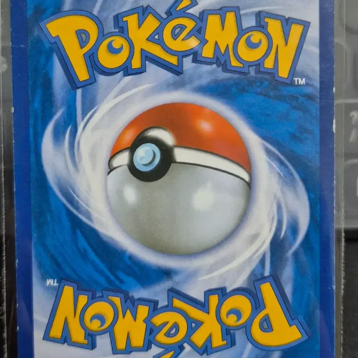[BUNJANG] Pokemon Card Granblue 039/059 U XY8 / 포켓몬카드 그랑블루 039/059 U XY8