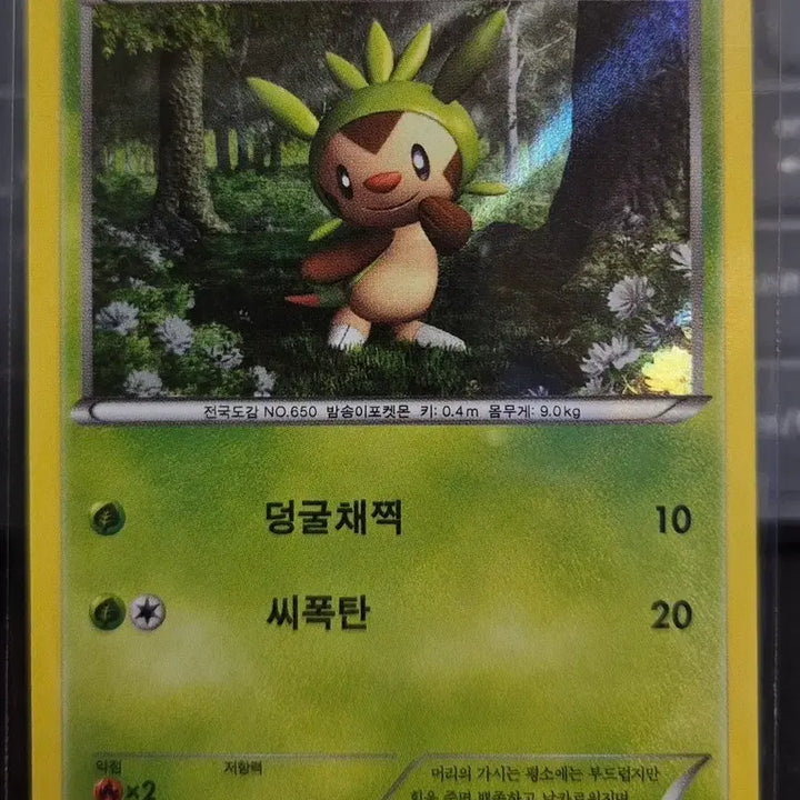 [BUNJANG] Pokemon Card Dedenne 003/036 FXY / 포켓몬 카드 도치마론 003/036 FXY