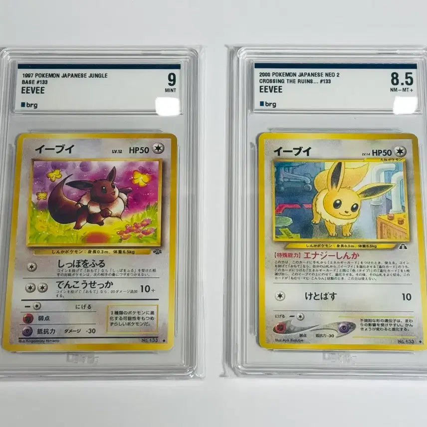[BUNJANG] Pokemon Card Eevee Set (1997, 2000) / 포켓몬카드 일판 초판 1997년 2000년 이브이 세트