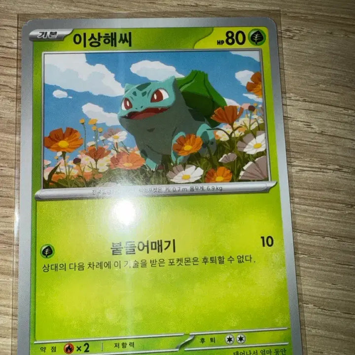 [BUNJANG] Bulbasaur Pokemon Card / 이상해씨 포켓몬 카드