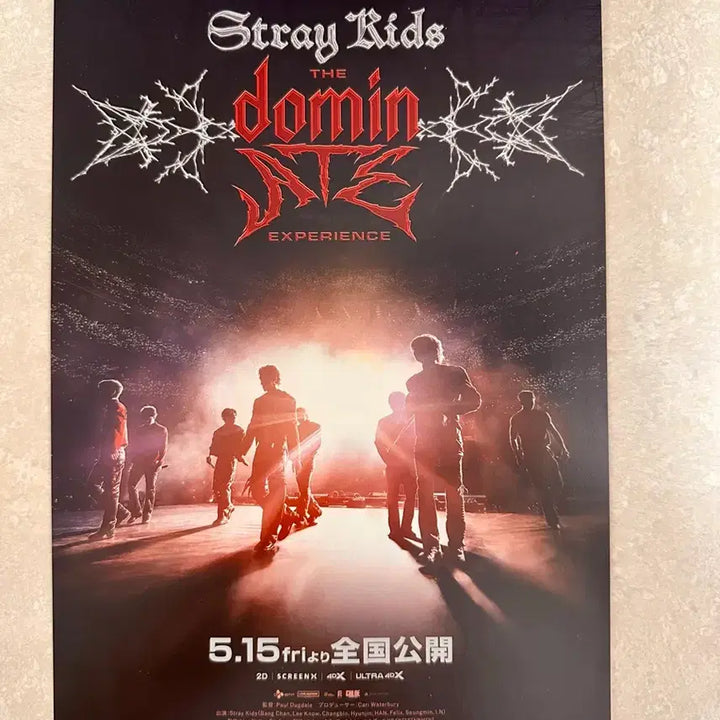 [BUNJANG] Stray Kids Dominate Experience Japan Goods / 스트레이키즈 도미메이트 익스피어런스 일본 굿즈