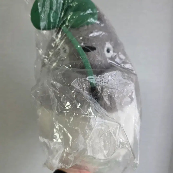 [BUNJANG] Ghibli Totoro Leaf Plush / 지브리 잎사귀  토토로 인형