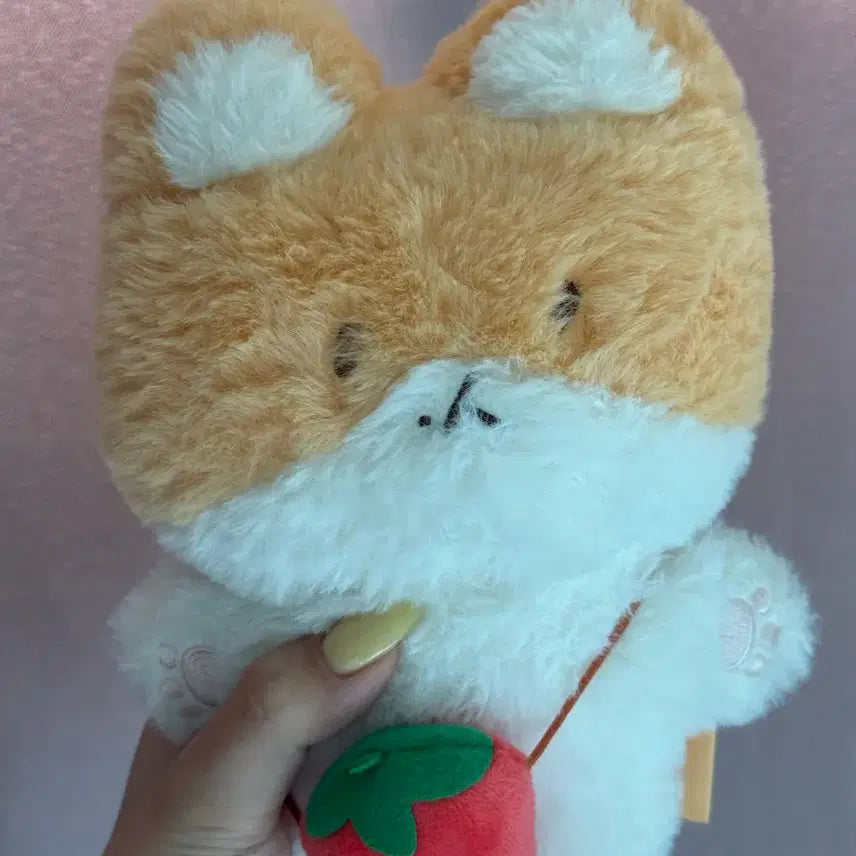 [BUNJANG] Fuzzy Doll with Ghost Costume / 터래기 인형