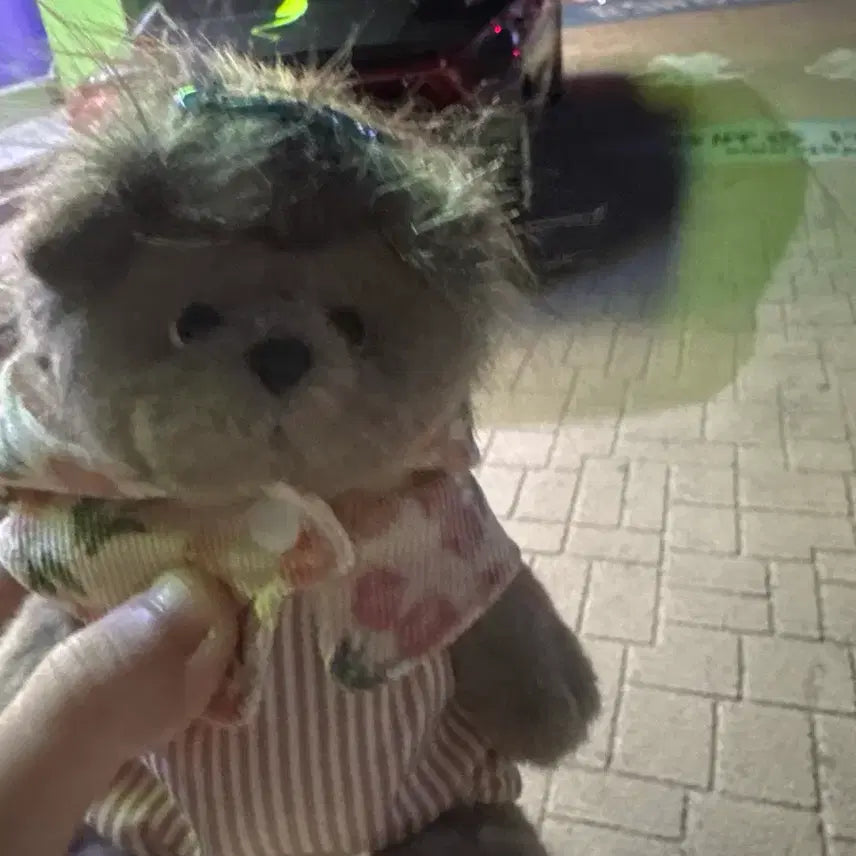 [BUNJANG] Teddy Tales Lulu Hedgehog Plush / 테디테일즈  루루 고슴도치 인형