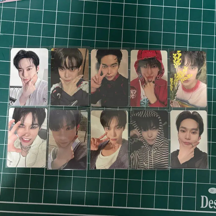 [BUNJANG] NCT Doyoung Bundle Set Photocard / 엔시티 도영 포카 일괄 양도