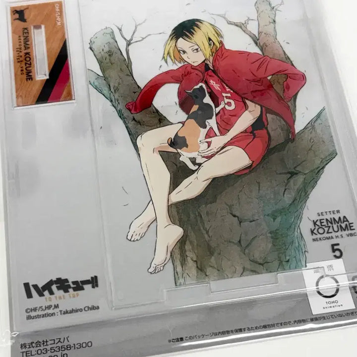 [BUNJANG] Haikyu!! Kozume Kenma Barefoot Acrylic Stand To The Top / (미개봉) 하이큐 코즈메 켄마 코스파 맨발 아크릴 스탠드 to the top