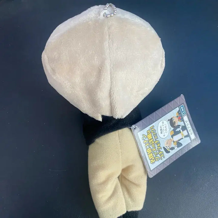 [BUNJANG] Detective Conan Bourbon Amuro Nesoberi Plush / 명탐정코난 버본 아무로 네소베리 누이