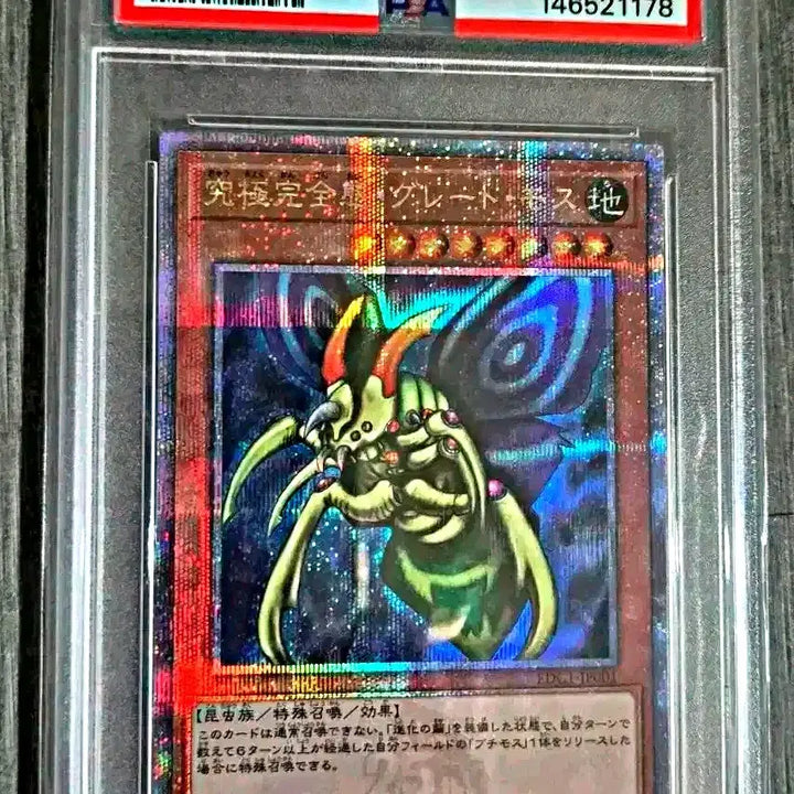 [BUNJANG] Yu-Gi-Oh! 25th Anniversary Great Moth Quarter Century Secret PSA 10 / 유희왕 25주년 그레이트모스 쿼터시크릿 PSA10