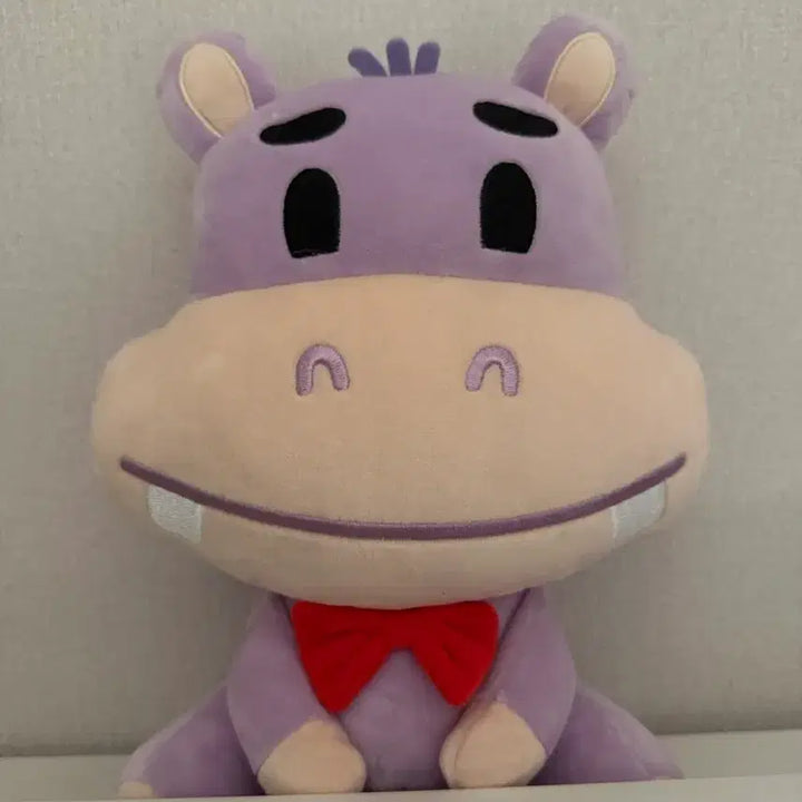 [BUNJANG] NFlying Yoo Hweseung Large Hamangi Plush / (가격 안 내림) 엔플라잉 유회승 대왕 파티 하망이 개봉