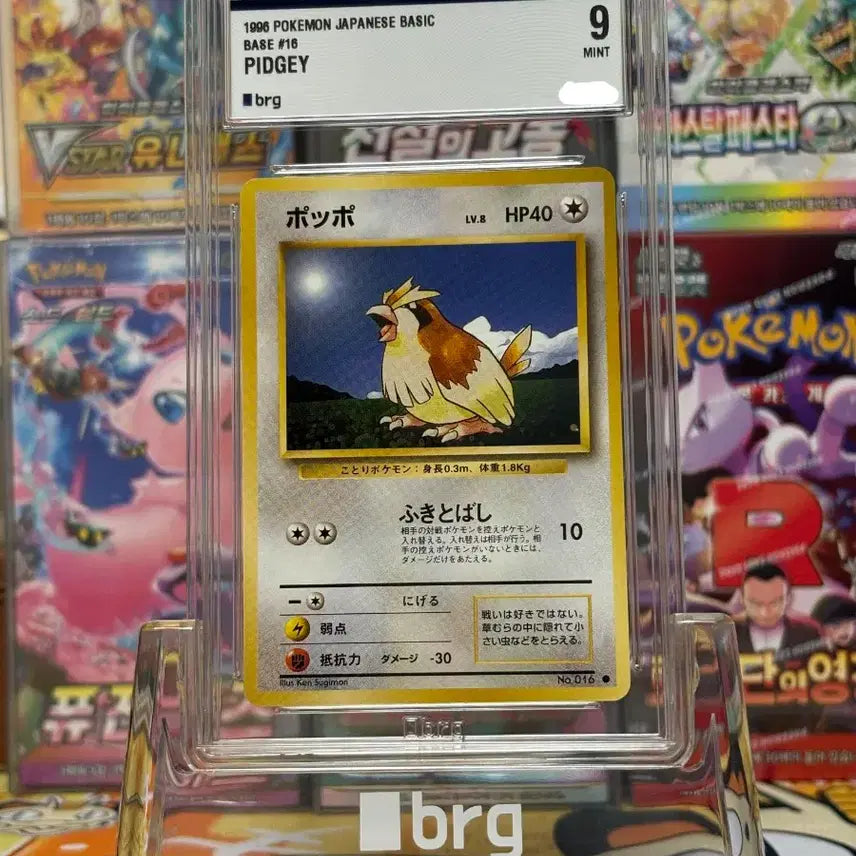 [BUNJANG] Pokemon Card Japanese First Edition Pidgey PSA 9 / 포켓몬카드 일판 구구 초판 brg 9등급