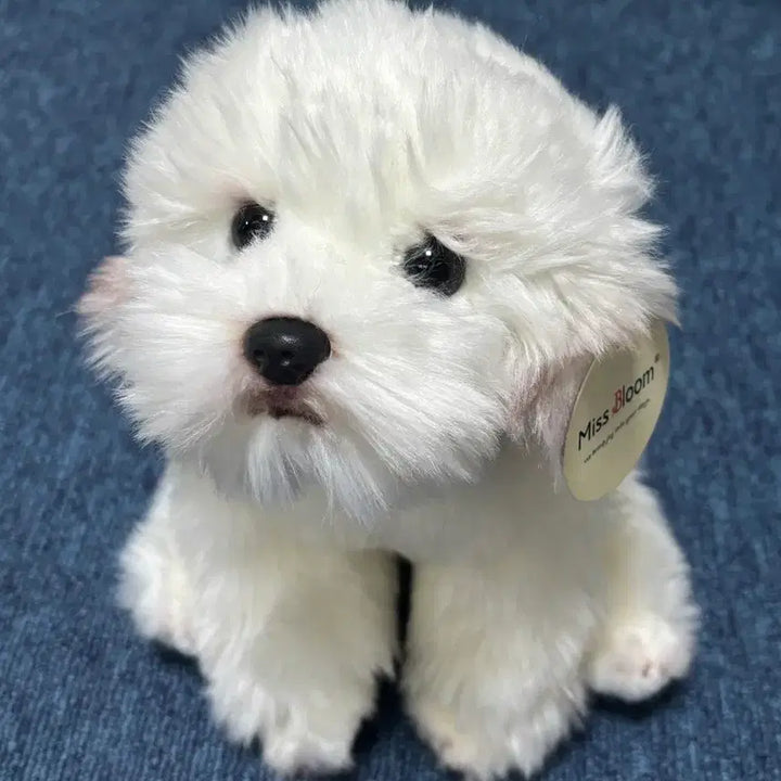 [BUNJANG] Miss Bloom Realistic Puppy Plush Toy / 미스블룸 강아지 인형