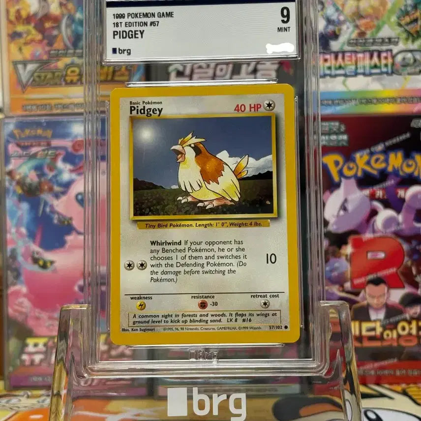 [BUNJANG] Pokemon TCG English Edition "Taillow" 1st Edition BGS 9 / 포켓몬카드 영판 구구 초판 brg 9등급
