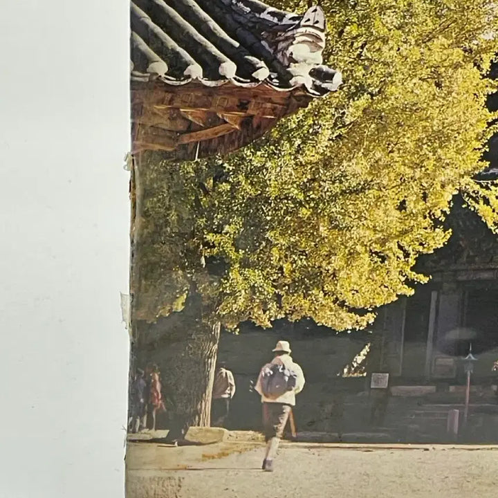 [BUNJANG] Palgyong Dokgyeong (Buddhist Scripture) Sungim Wonjeong Unsealed LP / [LP/미개봉] 팔양경 독경 비구니 원정스님