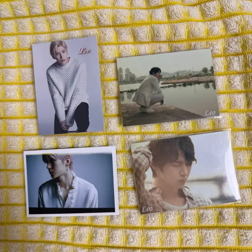 [BUNJANG] VIXX Leo Japanese Photocard / 빅스 정택운 레오 일본 포카