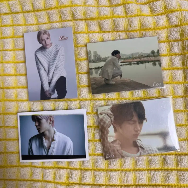 [BUNJANG] VIXX Leo Japanese Photocard / 빅스 정택운 레오 일본 포카