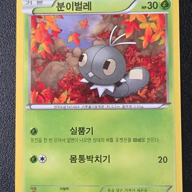 [BUNJANG] Pokemon Card Volbeat XY8 006/059 / 포켓몬 카드 분이벌레 xy8 006/059