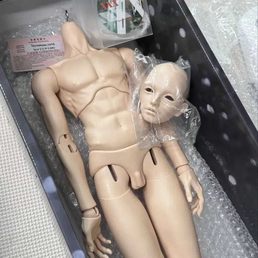 [BUNJANG] Switch Woojin 70cm Male Ball Jointed Doll Head &amp; Body / 구관 스위치 우진 sd 70 본체 구체관절인형 남아  헤드 바디