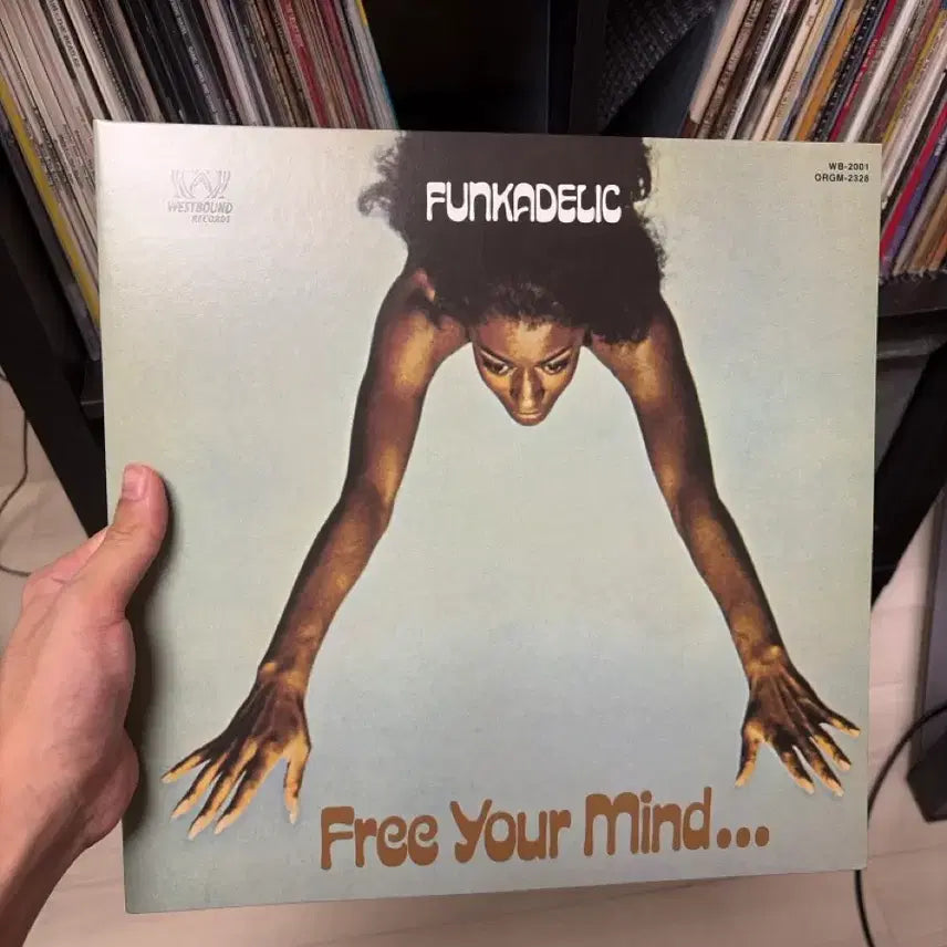 [BUNJANG] Funkadelic Funkadelic 2nd Album Free Your Mind... LP / Funkadelic 2집 LP
