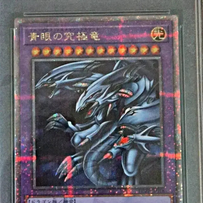 [BUNJANG] Yu-Gi-Oh! 25th Anniversary Ultimate Blue-Eyes White Dragon Quarter Century Secret Rare PSA 10 Graded Card / 유희왕 25주년 궁극의푸른눈의백룡 쿼터시크릿 일판 psa10 PGB1-JP028