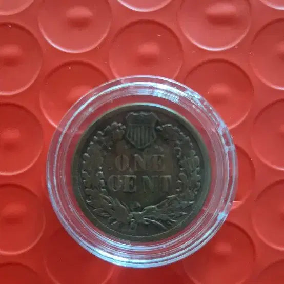 [BUNJANG] 1883 Indian Head Cent Coin / 1883년 인디언 헤드 원센트