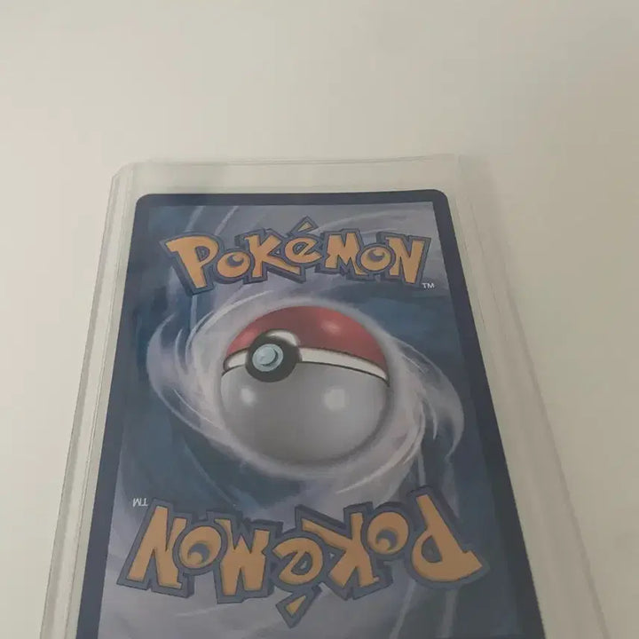 [BUNJANG] Mega Sceptile EX Korean Edition Pokemon Card / 메가개굴닌자 EX 한국판 포켓몬  카드 (최저 /급처가