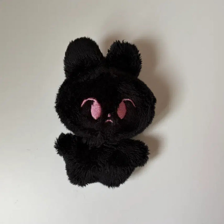 [BUNJANG] NCT Doyoung Kkamto Doll / 엔시티 도영 깜또 인형 양도