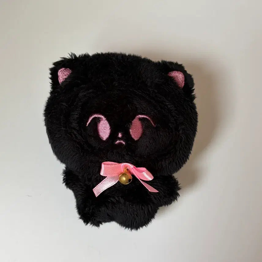 [BUNJANG] NCT Doyoung Kkamto Doll / 엔시티 도영 깜또 인형 양도