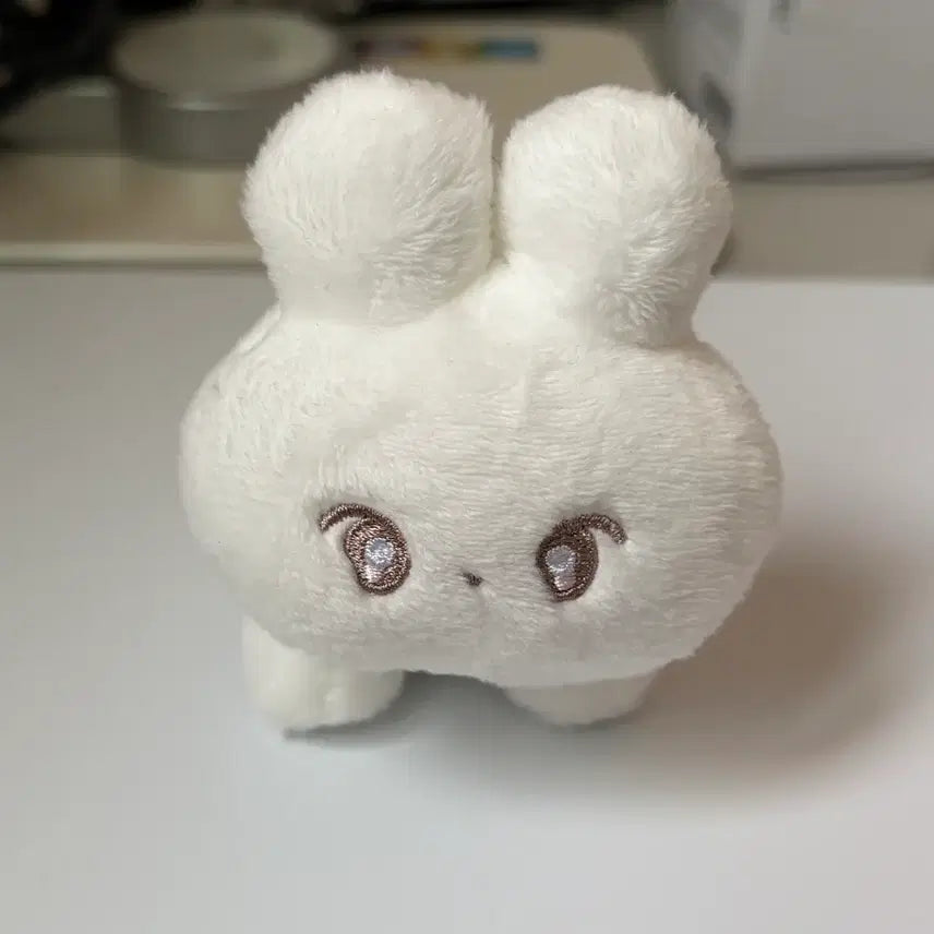 [BUNJANG] NCT Doyoung Binky Doll / 엔시티 도영 미니 빙키 도행이 인형 양도