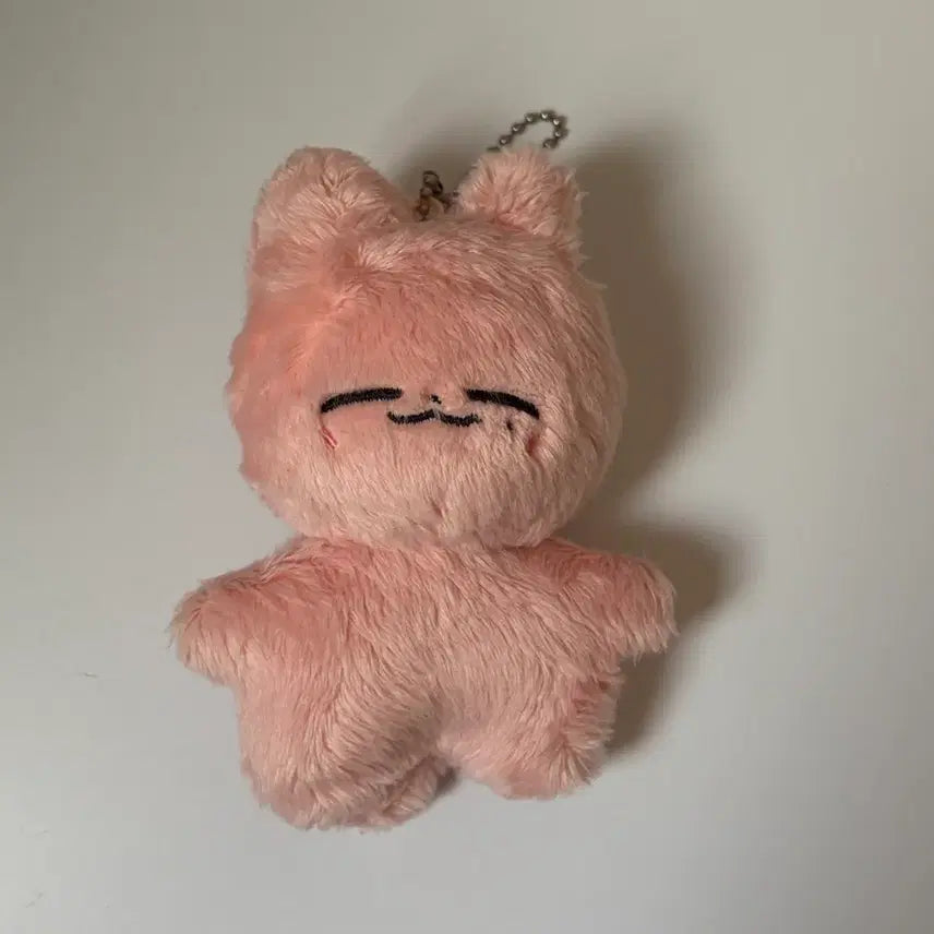 [BUNJANG] NCT Jaehyun Jaennyang Doll / 엔시티 재현 잰냥이 인형 양도