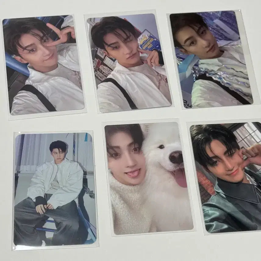 [BUNJANG] TWS Jihoon Last Bell Photocard Set / 투어스 지훈 라스트벨 포카 세트