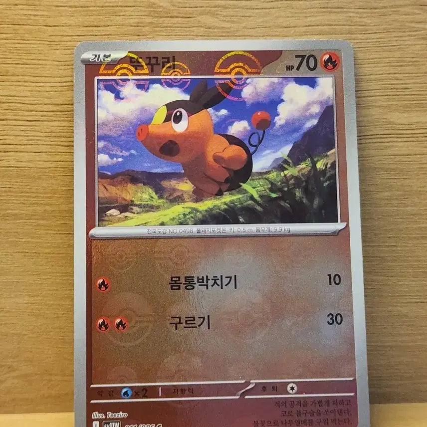 [BUNJANG] Pokemon TCG Torchic Card / [포켓몬스터] 포켓몬 카드 뚜꾸리
