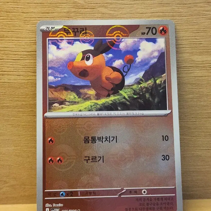 [BUNJANG] Pokemon TCG Torchic Card / [포켓몬스터] 포켓몬 카드 뚜꾸리
