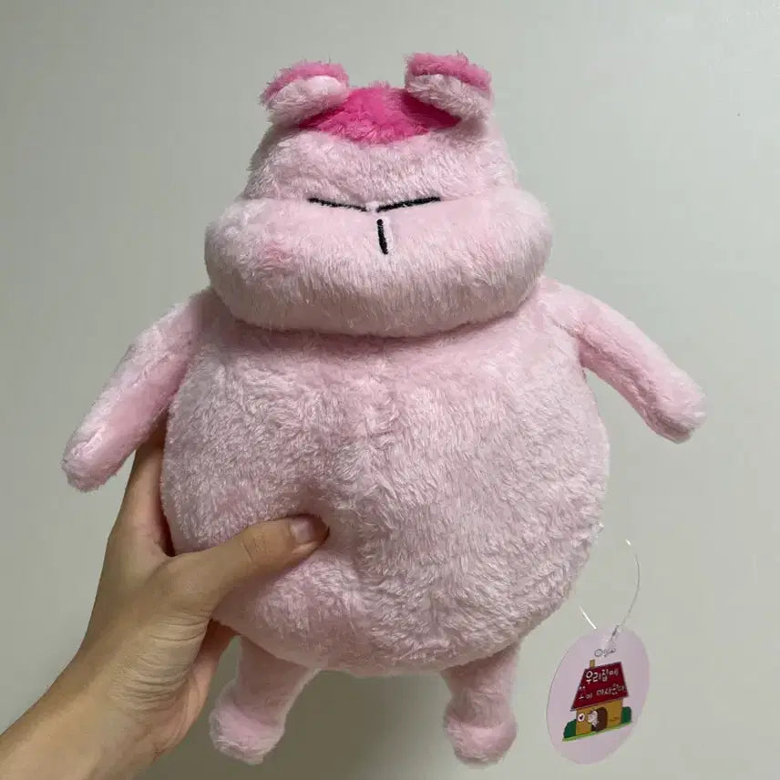 [BUNJANG] GomToto Plush / 곰토토 인형