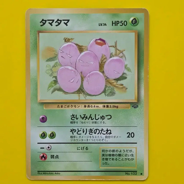 [BUNJANG] Pokemon Card Araring 2 1996 Japanese First Edition / 포켓몬카드 1996 아라리2 초기카드 일판 일본판 소장용 앨범용